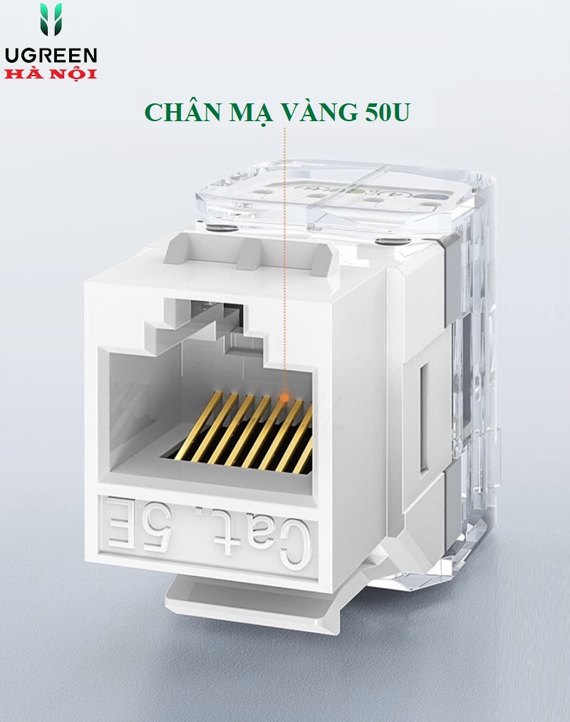 80449 Nhân ổ cắm mạng CAT5e Ugreen chụp trong